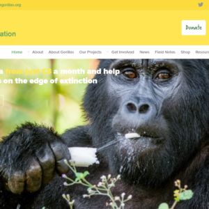 The Gorilla Organisation