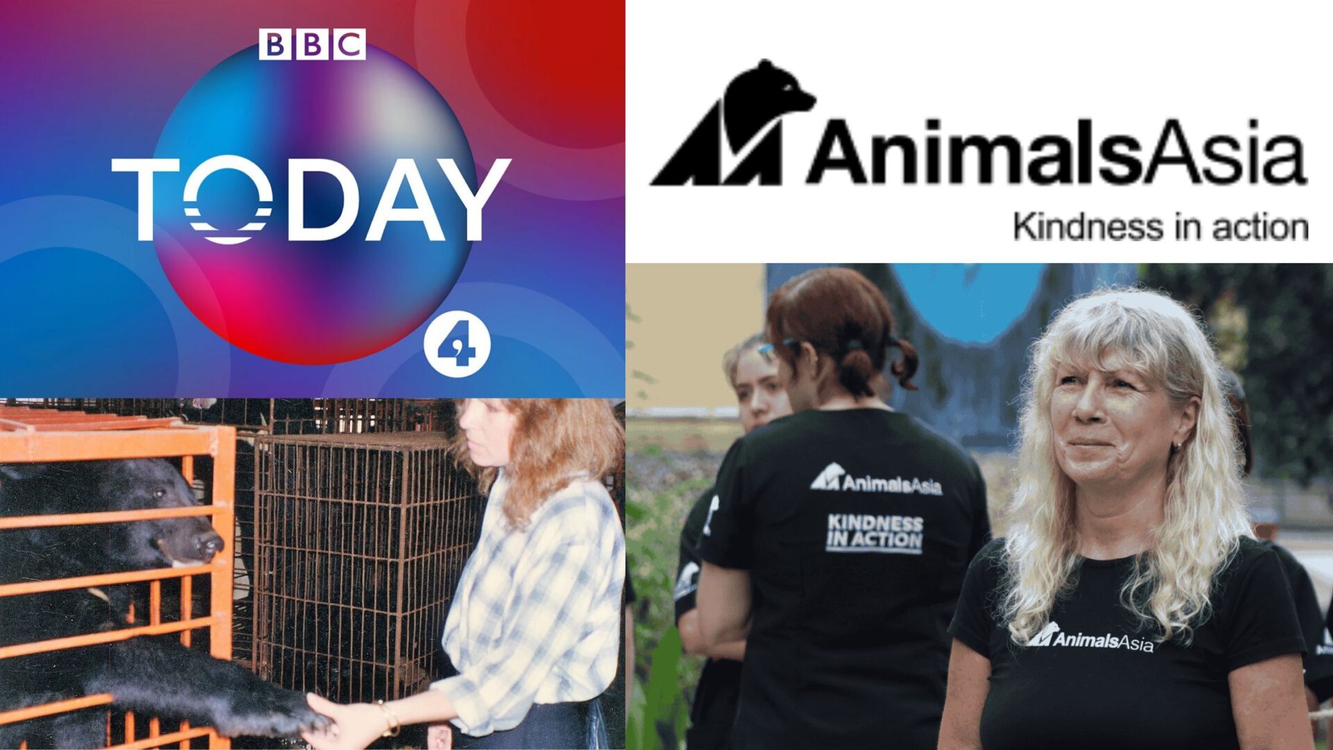 You are currently viewing Animals Asia on BBC Radio 4 Today